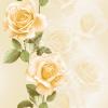 23P 2120-1.jpg class=